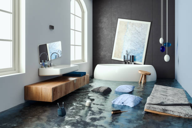 Best Mold removal after water damage  in Clarkston, GA