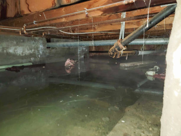 Best Local water damage restoration  in Clarkston, GA