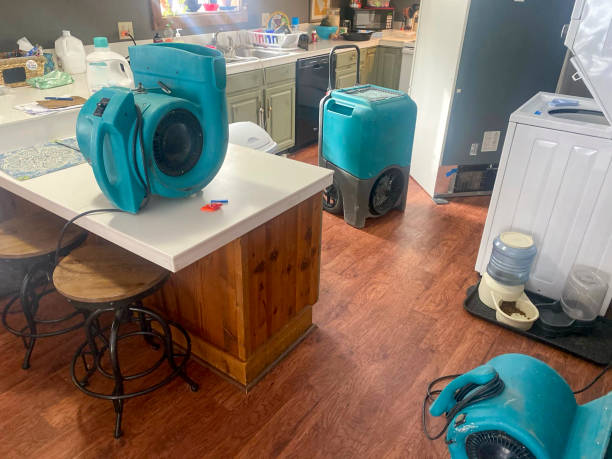 Best Water damage cleanup near me  in Clarkston, GA