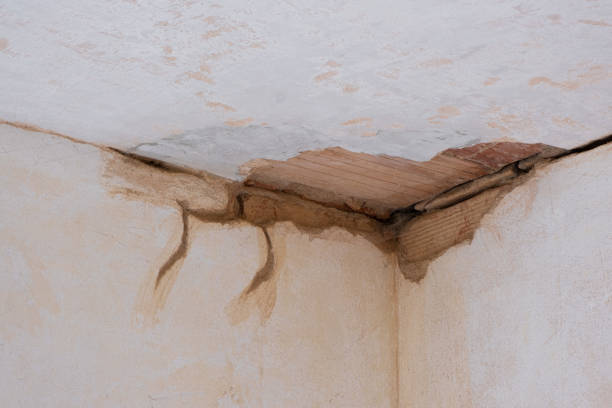 Best Flood damage cleanup  in Clarkston, GA