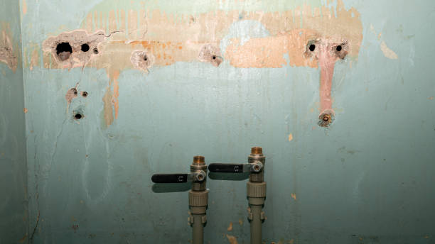 Best Basement water damage restoration  in Clarkston, GA