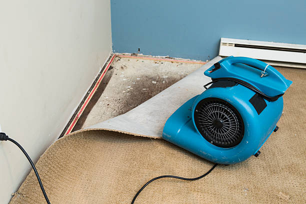 Best 24-hour water damage restoration  in Clarkston, GA